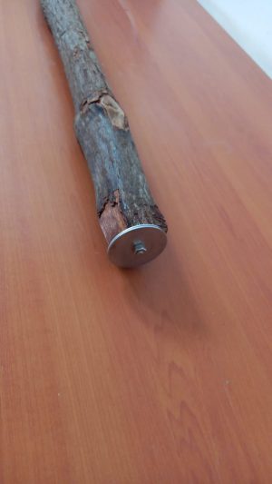 Natural Bakau Wood Perch 30cm